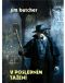 [The Dresden Files 07] • V posledním tažení